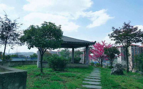 重庆市财经职业学院怎么样_学校在哪里