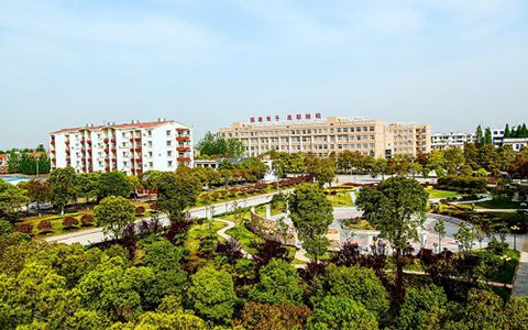 绵阳市艺术学校器乐专业