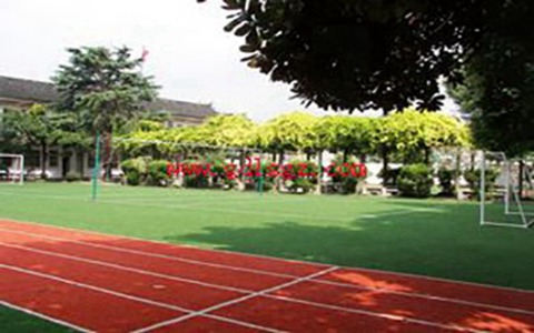 重庆市公共卫生学校口腔修复工艺专业简介