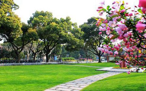 重庆商务职业学院热门专业有哪些