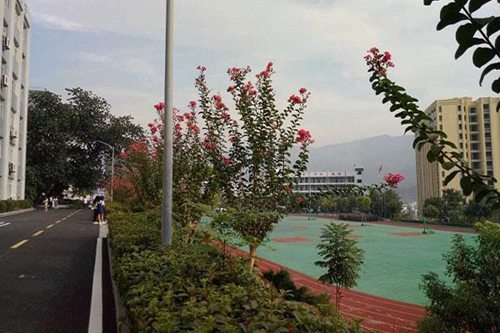 重庆教育管理学校物流服务与管理专业介绍