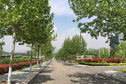 重庆航运旅游学校船舶驾驶专业介绍