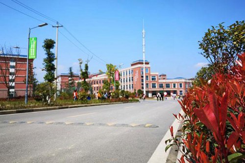 重庆教育管理学校会计专业介绍