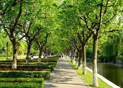 重庆市第三卫生学校专业介绍