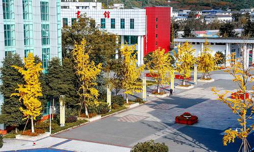 四川幼儿师范高等专科学校招生办电话