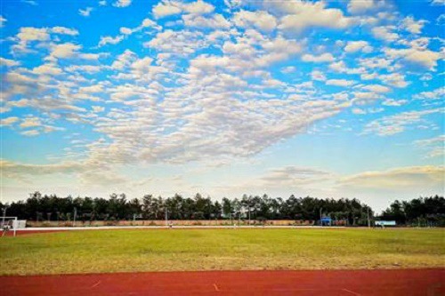2022年四川幼儿师范高等专科学校五年制大专收费标准
