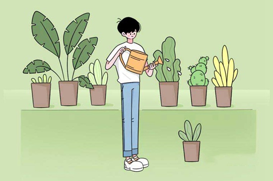 株洲海事职业学校2025年招生简章