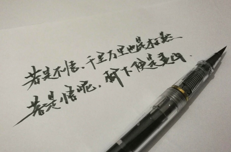 陕西乾县职业教育中心2024年招生简章