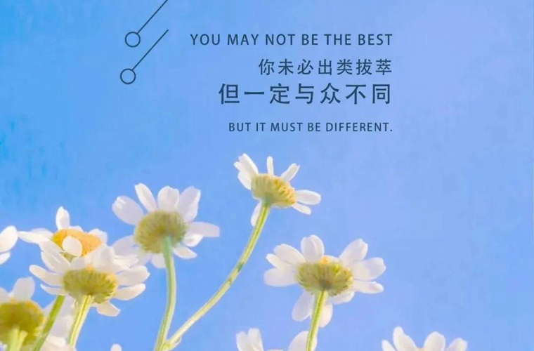 渭南联合职业学校2024年招生简章
