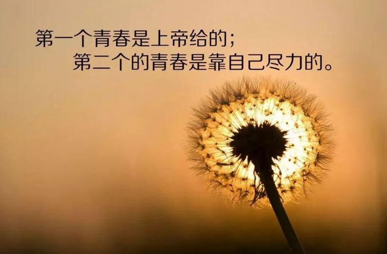 平度市职业中等专业学校2024年招生简章