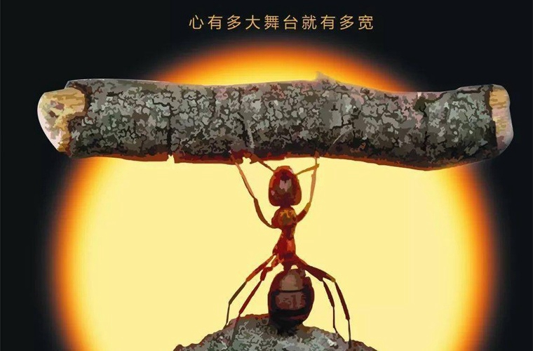 肃宁职教中心2024年招生简章