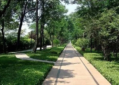 平度市职业教育中心学校2024年招生简章